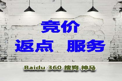 深度解析：百度推广代理的运营策略与效果